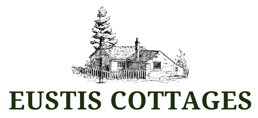 Eustis Cottages - Long Term Vacation Rental